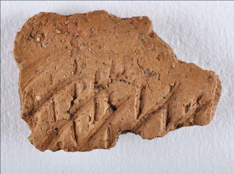 Rapport Länsmuseet Gävleborg 2013:01 NEOLITISKA KUSTBOPLATSER I VALBO Arkeologiska förundersökningar Valbo-Ön 2:8,