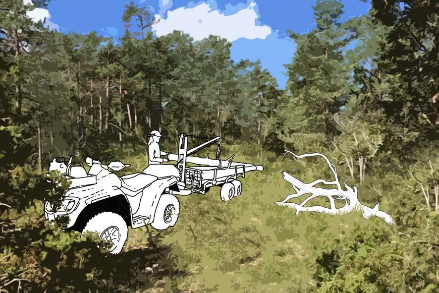 Åtgärd 2: Extern tillförsel av död ved Målet är att skogen ska innehålla en stor andel död ved i olika nedbrytningsstadier. Död ved är en viktig struktur i naturskogar.