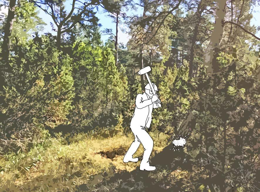Åtgärd 4: Veteranisering av träd Målet är öka mängden senvuxna och skadade träd vilket är viktiga strukturer i en naturskog. Senvuxna träd uppnår ofta hög ålder.