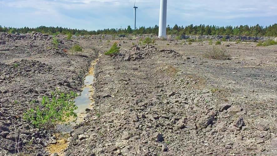 Processen att etablera alvarvegetation kan understödjas och