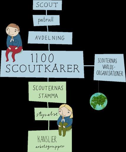 Vår organisation Scouterna är riksorganisationen för scouting i Sverige. Scouterna består av mer än 63 000 scouter i 1 100 scoutkårer.