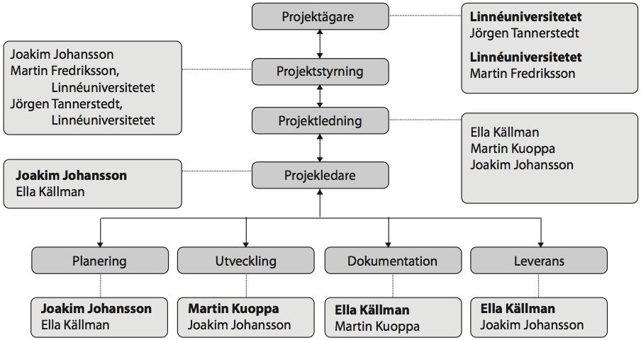 Projektorganisation