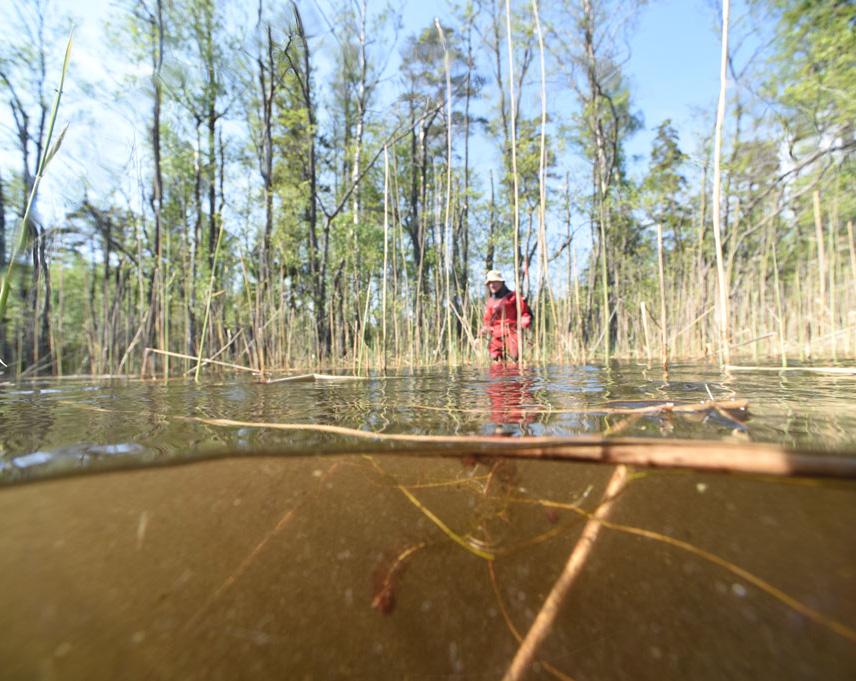 SJÖHISTORISKA MUSEET SJÖHISTORISKA MUSEET 2018:4 ARKEOLOGISK RAPPORT NR 2018:4 Holmsjön & Uttersjön Arkeologisk utredning Holmsjön & Uttersjön Fastigheterna