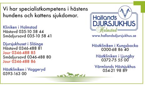 DAGS FÖR ÅRETS FÖRSTA V- OMGÅNG PÅ HALMSTADTRAVET Efter lite av en smygstart för Halmstadtravet är det så dags för den första av årets fyra V-omgångar 0.