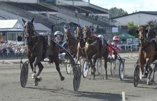 Hjärtliga gratulationer till samtliga pristagare. ÅRETS TRÄNARE Johan Untersteiner hade ett fantastiskt år 0. segrar och 0.0 kronor intjänat till stallet.