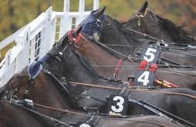 0-- Asklund Malin a Å 0-0-0 0 0-- 0 Bengtsson Tova a HD -- --0 0 Bergh Robert,,, Å -- 0 0 -- Daci Altin lä J -0-0 0 0-0-0 0 Eklundh André, Å -- 0-0- Elias Marc lä J 0-- 0 0 0 -- Eriksson