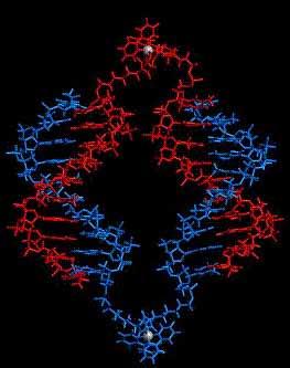 en 3Dstruktur: 33 DNA som byggsten