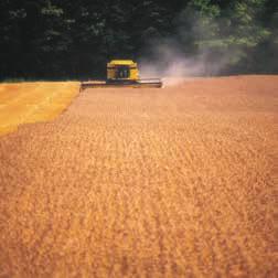 06 HISTORIA En historia om modern tröskning av New Holland. 1975: New Holland var pionjärer i och med lanseringen av Twin Rotor teknik på TR70 (145-168 hk).