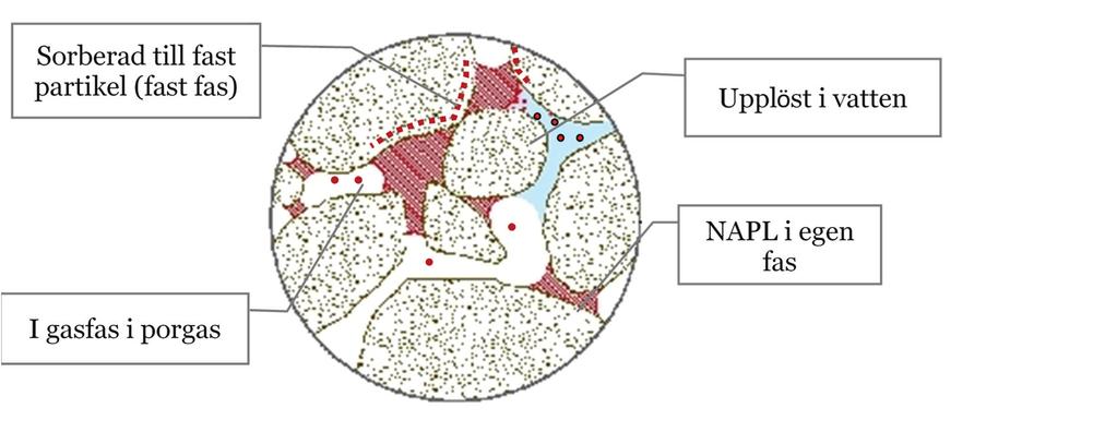 Föroreningen är potentiellt mobil då andelen DNAPL i porerna är så hög att den i egen fas kan bilda kontinuerliga vätskekroppar mellan flera porer samtidigt (fri fas).