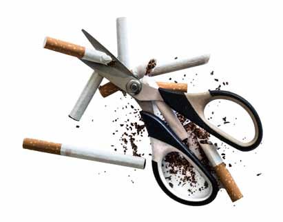3. Skattesystemet ska följas upp och justeras regelbundet. 4. Alla tobaksvaror ska beskattas på ett liknande sätt för att undvika att någon tobaksvara drar fördelar av systemet.