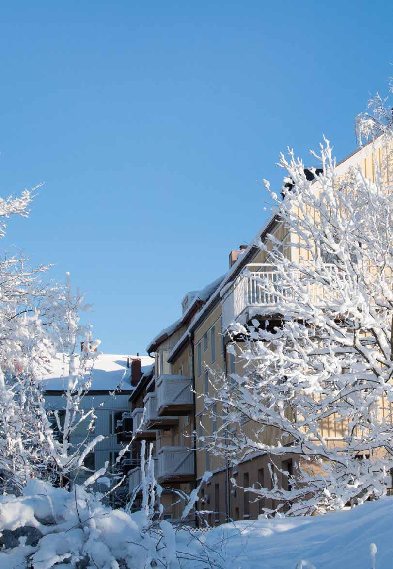 UTOMHUS Under de kalla månaderna kan både fastigheter och människor skadas av snö och is.