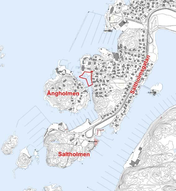 Planens syfte och förutsättningar Syfte Syftet med detaljplanen är att uppföra en allmän gångförbindelse med gångväg och brygga mellan Ängholmsbron och Styrbordsgatan för att säkerställa allmänhetens