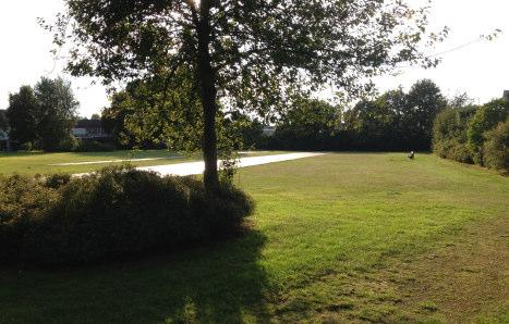 Inom parken finns ett flertal fina uppvuxna träd, bl a en mycket stor kastanj. Där finns inga iordningställda ytor för lek eller andra aktiviteter.