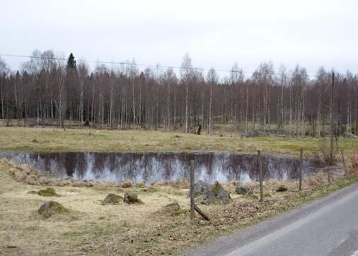 Bjursjö Lokalnamn: Bjursjö X 6334045 Storlek (m): 10x10 Beteckning: 13:1 Y 1430222 Visuell inventering Datum 2006-04-26 Fisk: Nej Kräftor: Nej Liten grund damm i