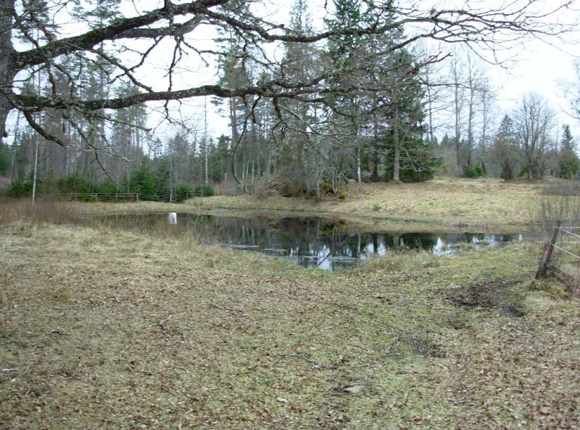 Hedvigsberg Lokalnamn: Hedvigsberg X 6337495 Storlek (m): 40x10 Beteckning: 22:1 Y 1439038 Visuell inventering Datum 2006-04-27 Fisk: Nej Kräftor: Nej Mörkt vatten.