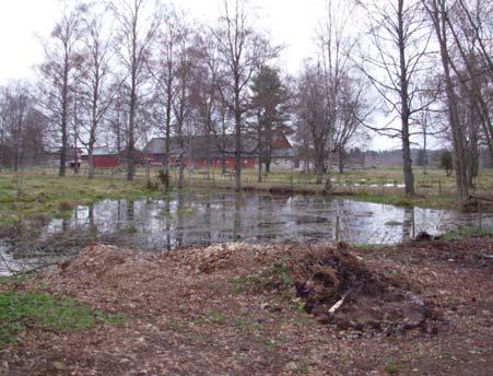Dädesjö Lokalnamn: Dädesjö X 6320628 Storlek (m): 30x30 Beteckning: 43:1 Y 1457658 Visuell inventering Datum 2006-05-02 Större vattensalamander (hona) 1 0 Fisk: Nej Kräftor: Nej Större