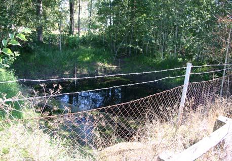 Mindre vattensalamander (hona) Mindre vattensalamander (hane) 0 1 Uppföljning reproduktion Datum 2006-08-08 Större vattensalamander 0 Branddammen starkt uttorkad med höga nästan lodräta kanter som