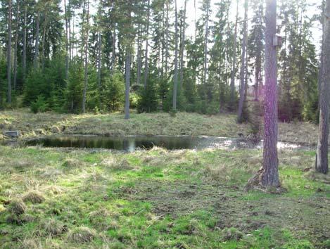 Vegby Lokalnamn: Vegby 1:4 X 6321200 Storlek (m): 7x15 Beteckning: 52:1 Y 1424708 Visuell inventering Betesmark och barrskog omger. Klart vatten och fina strandzoner.