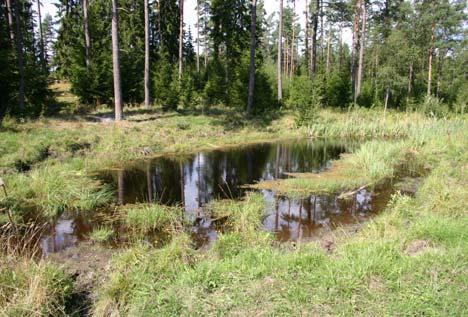 Uppföljning reproduktion Datum 2006-08-09 Hittade bara hanar under visuella inventeringen, vilket kan vara huvudorsaken till att ingen reproduktion påträffades.