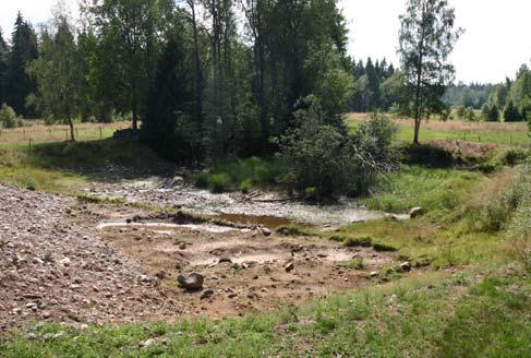 Mindre vattensalamander (hona) Mindre vattensalamander (hane) 0 1 Uppföljning reproduktion Datum 2006-08-09 Täktverksamheten tyvärr återupptagen och endast en liten vattenpöl
