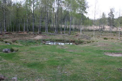 Linbastu Lokalnamn: Linbastu X 6291713 Storlek (m): 10x15 Beteckning: 85:1 Y 1402745 Visuell inventering Datum 2006-05-09 Fisk: Nej Kräftor: Nej Fin beteshage med ek och björk.