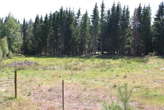 Östra gården 2 Lokalnamn: Östra gården 2 X 6267504 Storlek (m): 40x40 Beteckning: 119:5 Y 1461590 Visuell inventering Datum 2006-05-11 Större vattensalamander (hona) 1 0 Fisk: Nej Kräftor: Nej Större