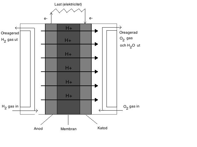 Figur 3.2 Förenklad illustration för hur en PEMFC fungerar. I ett bränslecellsfordon är huvudkomponenterna, förutom bränslecellen, ett batteri och en elmotor.