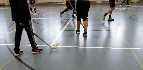 3.6 Invandrare Idrottsväsendet är berett att på ett kreativt, modigt och flexibelt sätt ordnat idrottstjänsteräven för invandrare och flyktingar.