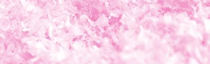 Defilering i lopp kl. GÄVLE LIVI MISTRESS 0:, K Tot: --0.00,br.s.e Dream Vacation - : --0,.