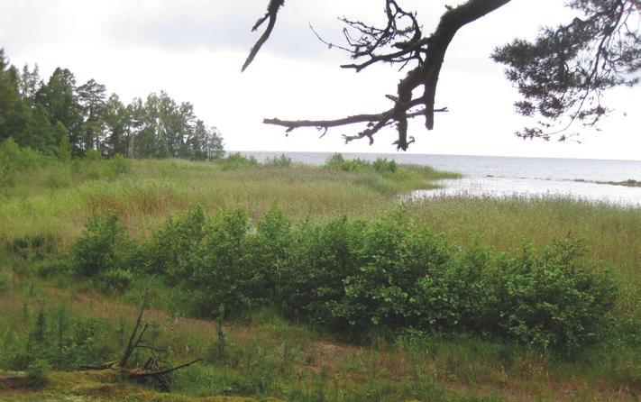 5. Stora vinster att hålla Vänerns stränder och skär öppna 15 Vänern och Göta älv behöver en modern vattendom som tar hänsyn till komplexa och ibland motstående