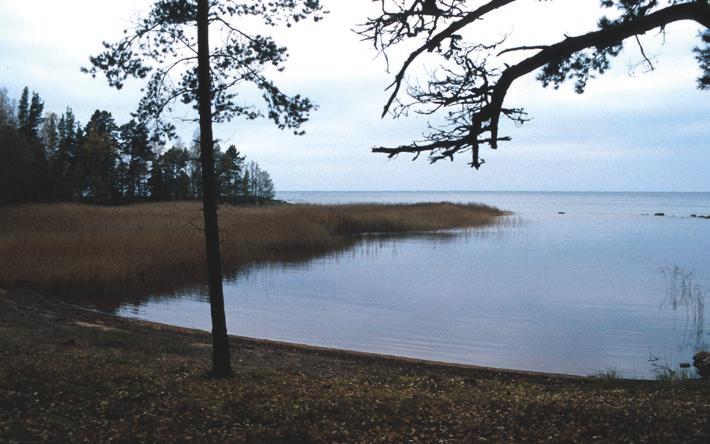 2000-områden, friluftsliv, turism och sjöfart. Nu gällande vattendom är från 1937.