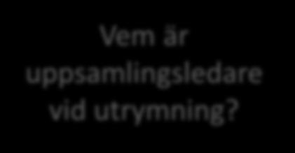 Vem tar hand om blommorna?