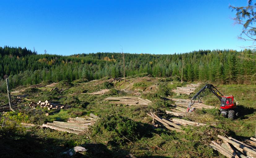 Produktionshöjande åtgärder Rapport