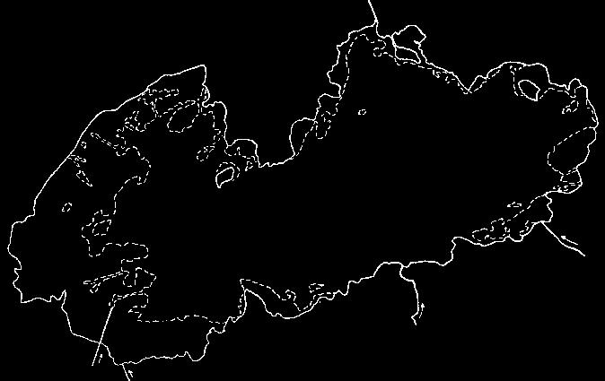 Svarttärna Chlidonias niger (VU) Lars Gezelius Efter toppåren i slutet av 1980-talet och början av 1990-talet har populationen fluktuerat ganska kraftigt med en minskande trend och en