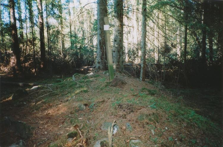Husgrunden från backstugan i Tjärtakan nr 9, Skogen.