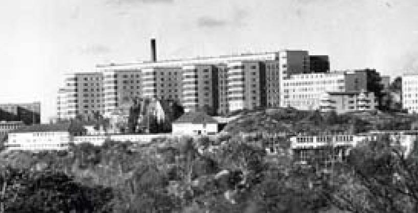 Översynen var klar den 31 maj 1930 då han presenterade en Generalplan för Stockholms sjukhusfrågor. Arbetet fortsatte med en planering av ett nytt centralsjukhus på Södermalm.