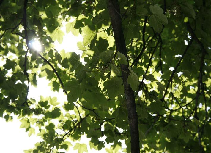 10 KONSEKVENSBEDÖMNING FÖR MILJÖ & HÅLLBART BYGGANDE Landstingsfullmäktige tog i december 2011 beslut om Miljöutmaning 2016, ett miljöpolitiskt program för Stockholms läns landsting.
