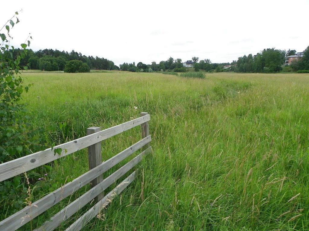 Biologiska värden i anslutning till föreslagen skolidrottsplats i