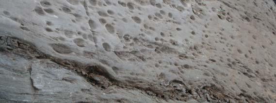 Gropvittrad dolomit, foto Sture Westerberg Naturbeskrivning Uddskäret har genom landhöjningen vuxit samman med Saxskäret och mellan öarna har en smal strandäng bildats.