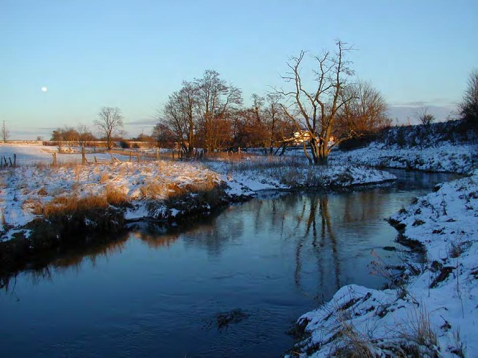 7 Område 2 Betesmark Saxån-järnväg Beskrivning: Saxån meandrar i stora svängar. Gräsdominerad vegetation med omväxlande friskäng (kruståteläng) och fuktäng (tuvtåteläng, högörtäng).