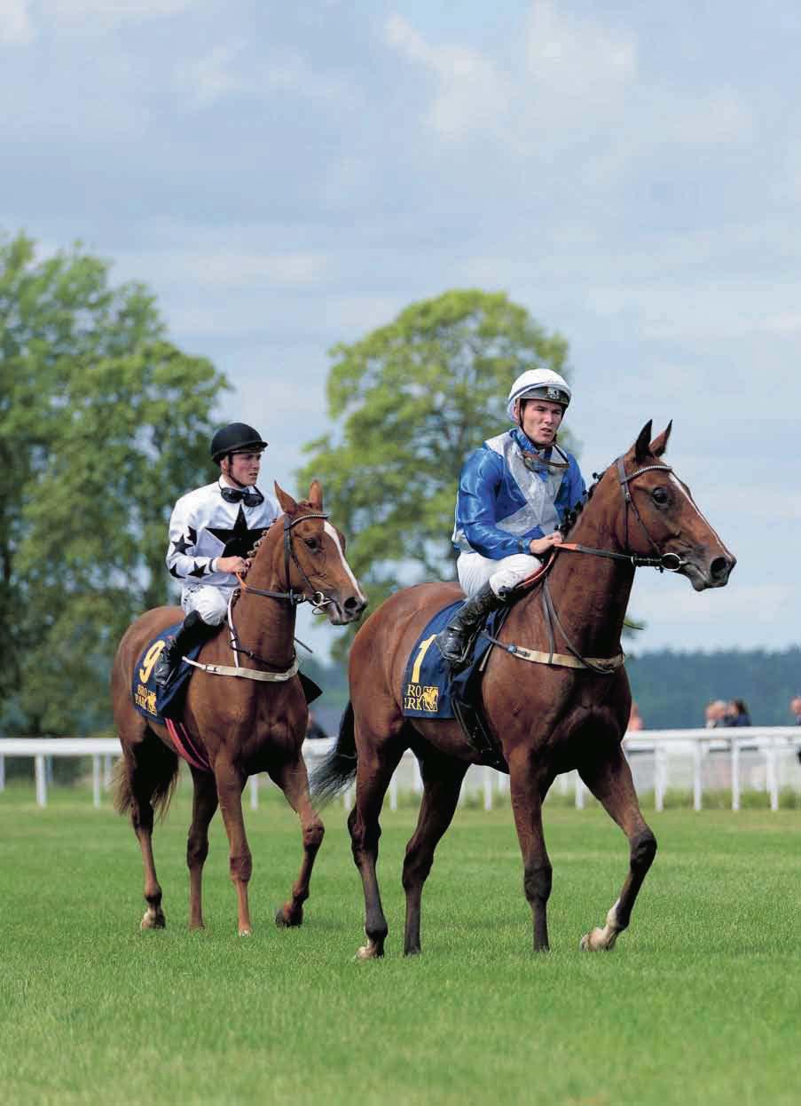 00 gr Ca kl. LUCKY STREAK MAIDEN Bankod 00m 00.000 kr 0.000-9.000-.000-.000-.000 För -åriga hästar som ej segrat. Vikt: 9 kg. TIPS: --- IRISH DAY Bro Park augusti kl.