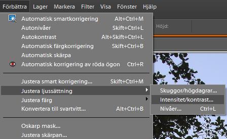 Funktionen finns bara till för att våra ögon skall ha lättare att se hur vi kan förändra bilden. Gå till Arkiv/Spara som, för att spara den förminskade bilden.