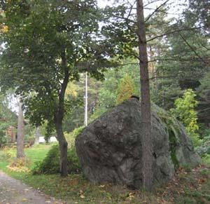 Bostadshusen är i allmänhet placerade mitt på fastigheten i fastighetens bakre del, så att de egentliga trädgårdarna blir mot gatan. Trädgårdarna är stora, lummiga och välskötta.