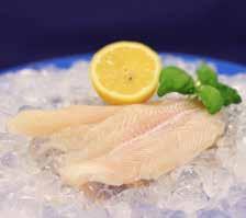 245: :0 0 00 (Theragra chalcogramma) (Pangasius