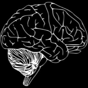 Princip 3: Affektsmitta Princip 3: Affektsmitta Spegling sker på neurologisk nivå Vanligtvis kan de flesta av oss