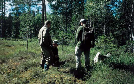 Stora rovdjur Stora rovdjur Pingelhalsband Efterfrågan på pinglor till jakthundar är också mycket stor. Vi skickar ut pingelhalsband till såväl länsstyrelser som enskilda jägare.