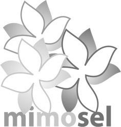 Plats: Tid: Ledare: Pris: Mimosel-handledarutbildning (minne-motion-syn-hörsel-social samvaro) ett hälsofrämjande program för äldre. Folkhälsans Allaktivitetshus, Skeppargatan 11, Mariehamn Fredag 19.