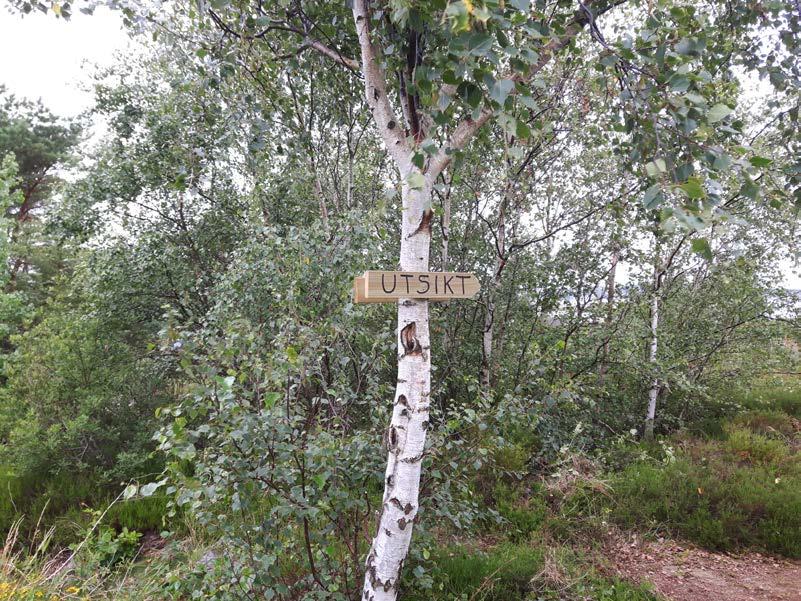 -Låtit den gamla KMS flaggan på lackad flaggstång från Fästningsholmen, efter varsam renovering pryda utsidan av S-bryggans grillplats.