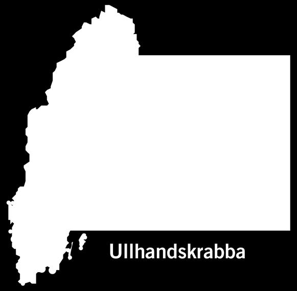 svensk