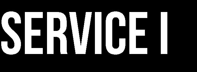 I årets sista nyhetsbrev från Service i samverkan besöker vi